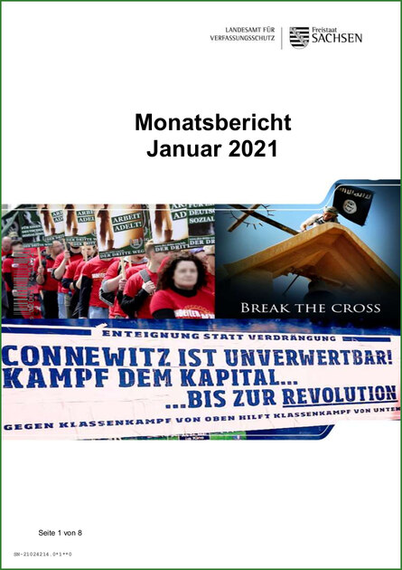 Monatsbericht Januar 2021